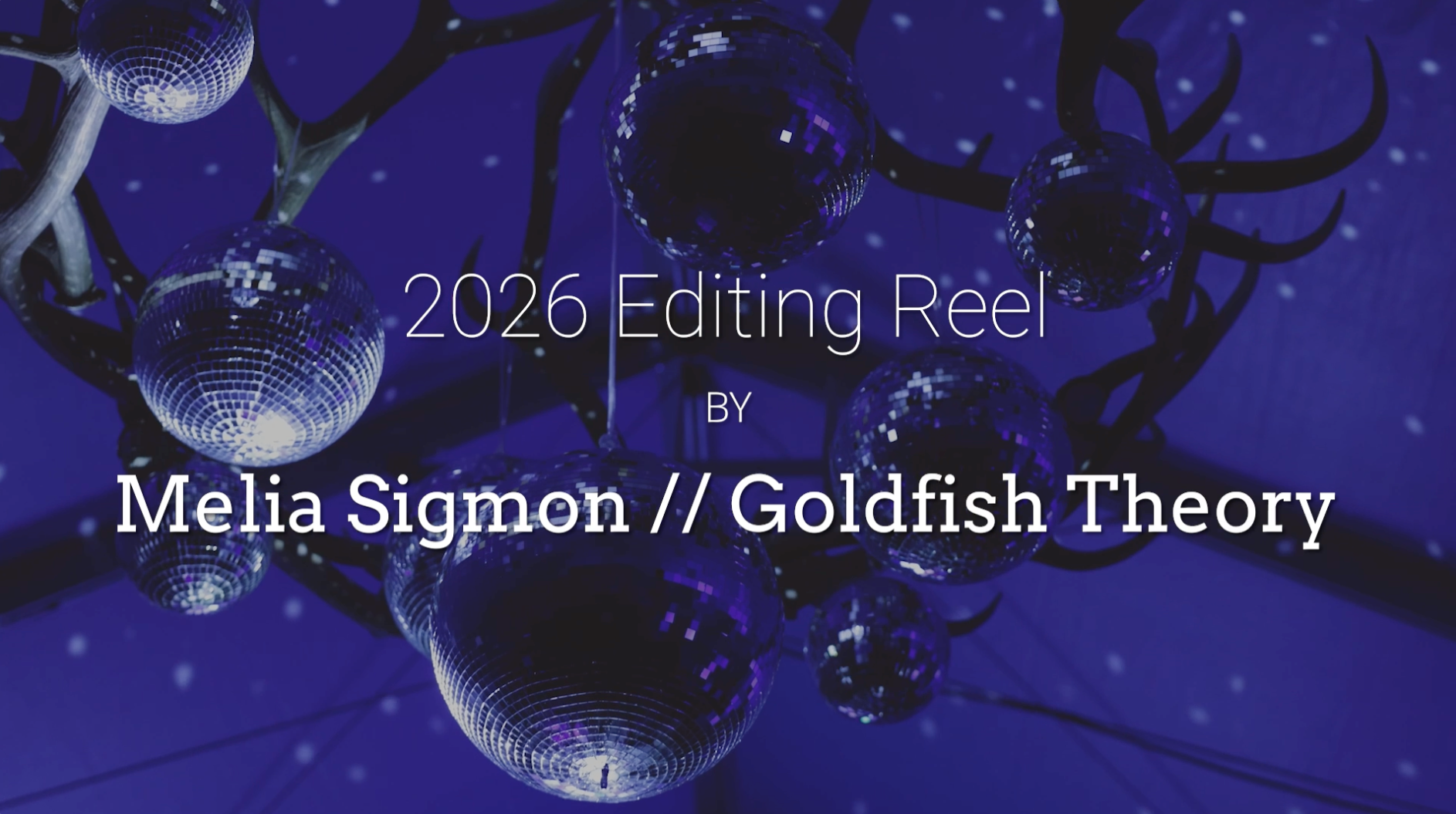 Load video: Goldfish Theory Reel